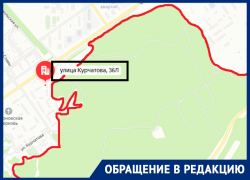 Битва за Генплан: воронежцы отчаянно пытаются спасти еще один многолетний лес Битва за Генплан: воронежцы отчаянно пытаются спасти еще один многолетний лес