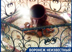 Почему весь мир ломает голову над значением герба Воронежа Почему весь мир ломает голову над значением герба Воронежа