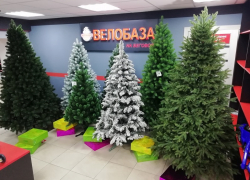 Воронежская "Велобаза" зовет за новогодними покупками Воронежская "Велобаза" зовет за новогодними покупками