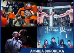 Куда сходить в Воронеже: школа тревел-блогеров, новогодние чудеса и битва за пояс чемпиона по ММА Куда сходить в Воронеже: школа тревел-блогеров, новогодние чудеса и битва за пояс чемпиона по ММА
