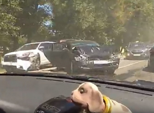 Жуткие последствия массовой аварии под Воронежем попали на видео Жуткие последствия массовой аварии под Воронежем попали на видео