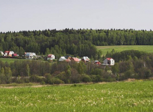 Мужчины воровали электроинструменты с дачных участков Воронежской области Мужчины воровали электроинструменты с дачных участков Воронежской области