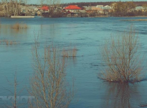 Воронежцы будут долго помнить весну 2018 года в Сомово Воронежцы будут долго помнить весну 2018 года в Сомово