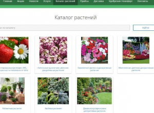 Воронежские «цветочные акции» распродают за 35 млн рублей Воронежские «цветочные акции» распродают за 35 млн рублей