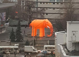 Гигантского оранжевого слона в центре Воронеже приняли за галлюцинацию Гигантского оранжевого слона в центре Воронеже приняли за галлюцинацию