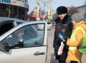 Воронежские женщины-полицейские порадовали в праздник мужчин на дорогах Воронежские женщины-полицейские порадовали в праздник мужчин на дорогах