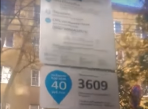 Диссонанс парковочных знаков показали в центре Воронежа Диссонанс парковочных знаков показали в центре Воронежа