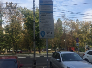 С автомобилистов в Воронеже стали брать деньги за парковку С автомобилистов в Воронеже стали брать деньги за парковку