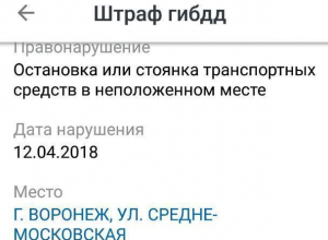 Автомобилистка пожаловалась на мифические штрафы в Воронеже Автомобилистка пожаловалась на мифические штрафы в Воронеже