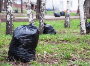 Воронежцам предложили объединиться для очищения родного города Воронежцам предложили объединиться для очищения родного города
