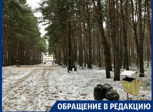 Благодаря вам Северный лес привели в порядок! – читательница «Блокнота Воронеж» Благодаря вам Северный лес привели в порядок! – читательница «Блокнота Воронеж»