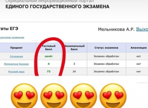 Ангелина Мельникова показала, как сдала ЕГЭ с минимальной подготовкой Ангелина Мельникова показала, как сдала ЕГЭ с минимальной подготовкой