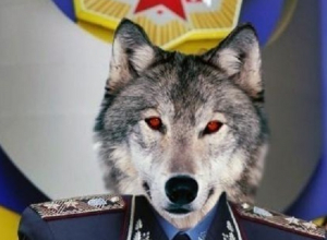 В полиции Воронежа обнаружен очередной высокопоставленный оборотень в погонах В полиции Воронежа обнаружен очередной высокопоставленный оборотень в погонах