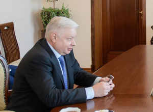 ЦФО возлагает надежду импортозамещения на Воронежскую область ЦФО возлагает надежду импортозамещения на Воронежскую область