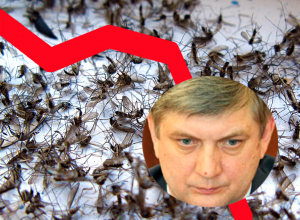 Воронежское правительство ответило за падение рейтинга Гусева, высосанного комарами Воронежское правительство ответило за падение рейтинга Гусева, высосанного комарами
