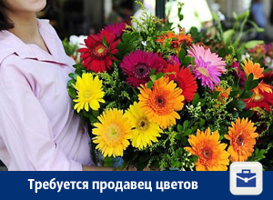 В Воронеже требуется стрессоустойчивый продавец цветов В Воронеже требуется стрессоустойчивый продавец цветов