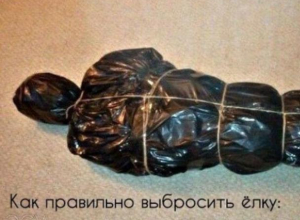 Воронежцам показали, как в Старый Новый год с черным юмором избавиться от елки Воронежцам показали, как в Старый Новый год с черным юмором избавиться от елки