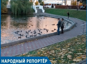 Невиданное нашествие уток: довольные пернатые обосновались на Лебедином озере в Воронеже Невиданное нашествие уток: довольные пернатые обосновались на Лебедином озере в Воронеже