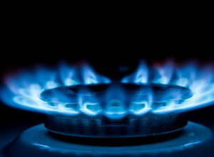 Воронежские управляющие компании «забыли» про диагностику газового оборудования Воронежские управляющие компании «забыли» про диагностику газового оборудования