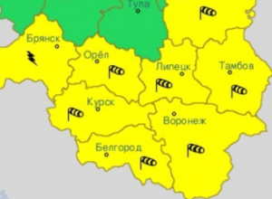 Желтый уровень опасности объявили в Воронежской области Желтый уровень опасности объявили в Воронежской области