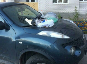 В Воронеже на неправильно припаркованный автомобиль справили нужду В Воронеже на неправильно припаркованный автомобиль справили нужду