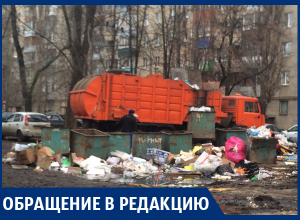 Мусорка воняет, разлагается, гниет, – жительница Воронежа о свалке во дворе Мусорка воняет, разлагается, гниет, – жительница Воронежа о свалке во дворе