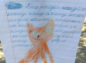 Воронежцы просят вернуть Рыжулю за мешок конфет Воронежцы просят вернуть Рыжулю за мешок конфет