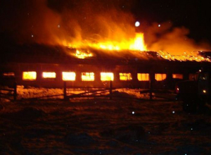 В Воронежской области ночью сгорели трактор и овцеферма В Воронежской области ночью сгорели трактор и овцеферма