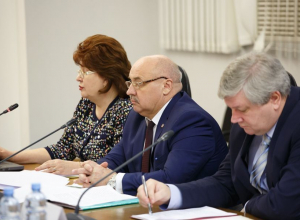 Воронежские власти согласовали все детали создания ОЭЗ с Минэкономразвития Воронежские власти согласовали все детали создания ОЭЗ с Минэкономразвития