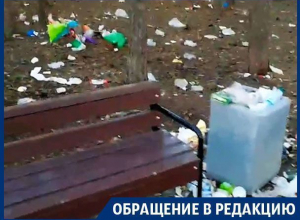 Горы мусора в сквере на Молодогвардейцев в Воронеже попали на видео Горы мусора в сквере на Молодогвардейцев в Воронеже попали на видео