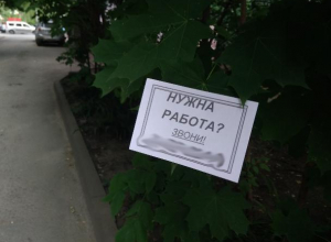 В Воронеже организаторы лохотрона используют для рекламы деревья В Воронеже организаторы лохотрона используют для рекламы деревья