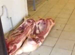 Чудовищные условия хранения мяса на рынке в Воронеже сняли на видео Чудовищные условия хранения мяса на рынке в Воронеже сняли на видео