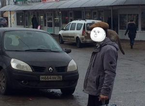 Мужчина, гуляющий с котом на плече, впечатлил воронежцев Мужчина, гуляющий с котом на плече, впечатлил воронежцев