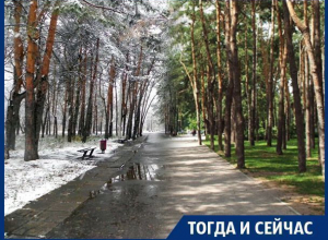 Как воронежские «Алые паруса» поймали ветер Как воронежские «Алые паруса» поймали ветер