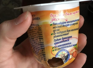 Жительница Воронежа купила пудинг, продегустированный мышью Жительница Воронежа купила пудинг, продегустированный мышью