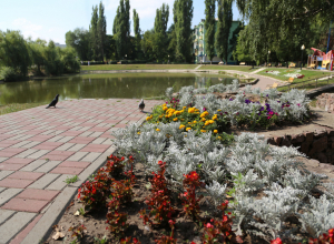 В Воронеже началась реконструкция сквера у «Лебединого озера» В Воронеже началась реконструкция сквера у «Лебединого озера»