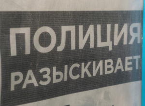 В Воронеже задержан мошенник, находившийся в федеральном розыске В Воронеже задержан мошенник, находившийся в федеральном розыске