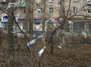 В воронежской Отрожке деревья ужасно нарядили «бутылочными игрушками» В воронежской Отрожке деревья ужасно нарядили «бутылочными игрушками»