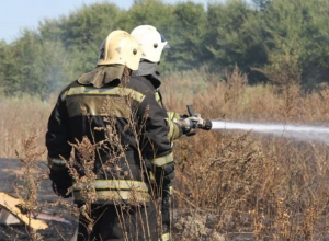 Воронежцев предупредили о запахе гари после лесного пожара в Сомово Воронежцев предупредили о запахе гари после лесного пожара в Сомово