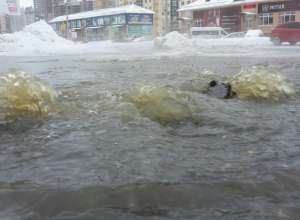 Количество аварий на водопроводных сетях в Воронеже за год выросло в 1,5 раза Количество аварий на водопроводных сетях в Воронеже за год выросло в 1,5 раза