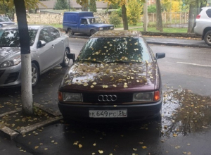 Воронежцев впечатлило осеннее преображение Audi Воронежцев впечатлило осеннее преображение Audi