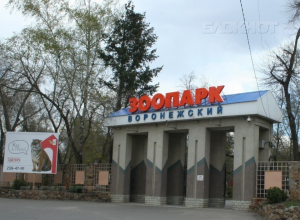 Студентов пригласили в Воронежский зоопарк на бесплатное селфи с питоном Студентов пригласили в Воронежский зоопарк на бесплатное селфи с питоном