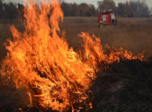 Воронежцев предупредили о риске ландшафтных пожаров Воронежцев предупредили о риске ландшафтных пожаров