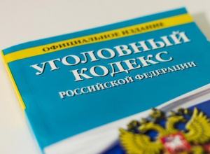 В Воронеже возбудили уголовное дело о хищении федеральной земли вуза В Воронеже возбудили уголовное дело о хищении федеральной земли вуза
