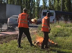 Воронежцы заступились за рабочих, сжигающих мусор на газоне Воронежцы заступились за рабочих, сжигающих мусор на газоне