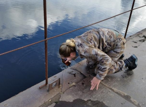 Запрещенный препарат ДДТ нашли в водоемах Воронежского заповедника Запрещенный препарат ДДТ нашли в водоемах Воронежского заповедника