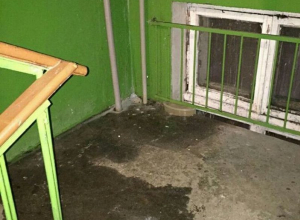 Субботнее потепление может смыть подъезд воронежской многоэтажки в центре города Субботнее потепление может смыть подъезд воронежской многоэтажки в центре города
