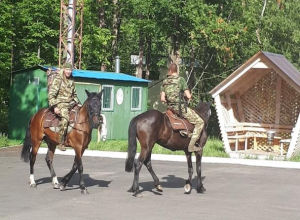 Инспекторы на Ириске и Буяне задержали сборщиков черники в Воронежском заповеднике Инспекторы на Ириске и Буяне задержали сборщиков черники в Воронежском заповеднике