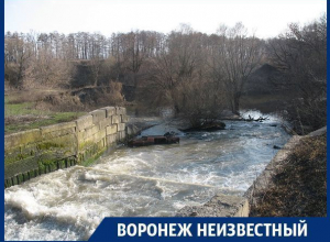 Как обычный приток Дона превратился в воронежскую «вонючку» с запахом фекалий Как обычный приток Дона превратился в воронежскую «вонючку» с запахом фекалий