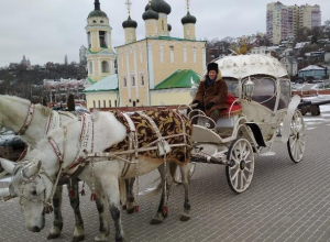 В Воронеже карету с лошадьми сравнили с машиной такси В Воронеже карету с лошадьми сравнили с машиной такси